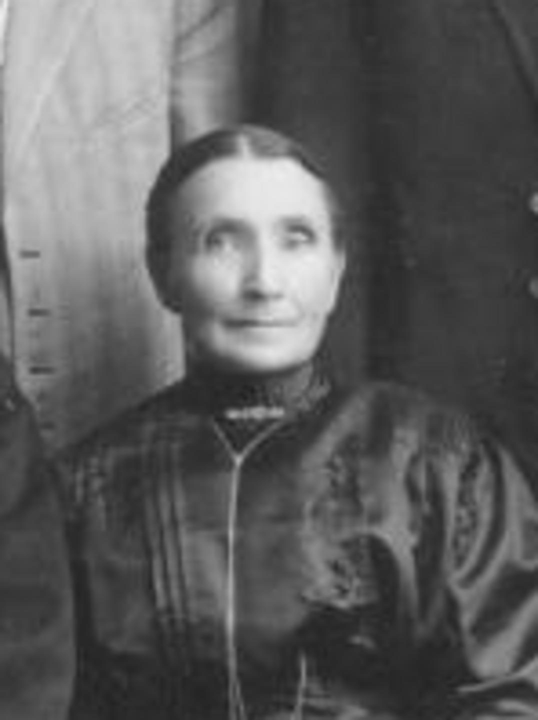 Elizabeth Husseler Johnson (1849 - 1938) Profile